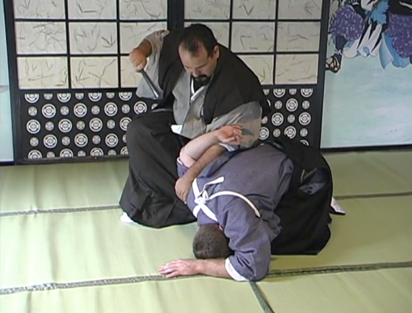 Yoshida Han Shidare Yanagi Ryu Tessen & Jutte Jitsu DVD (Preowned) Online now