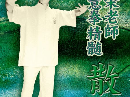 The Essence of Yiquan DVD 2 by Yao Chengyong (Region 2 DVD) For Cheap