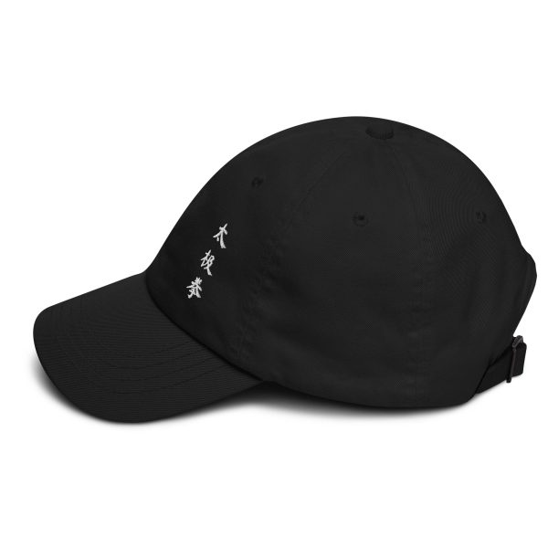 Tai Chi Chuan Cosmic Duality Dad Hat by Kaizen Athletic Supply