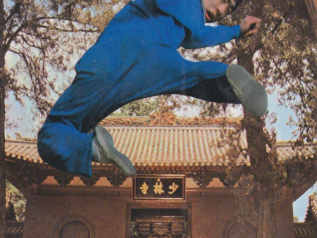 64 Leg Attack Methods of Shaolin Kung Fu - Chinese Kung-Fu Series Book 3 by Xinde Wang (Preowned) on Sale